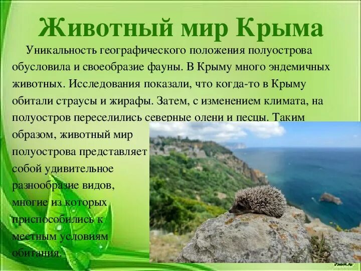 Презентация на тему "Природа Крыма".