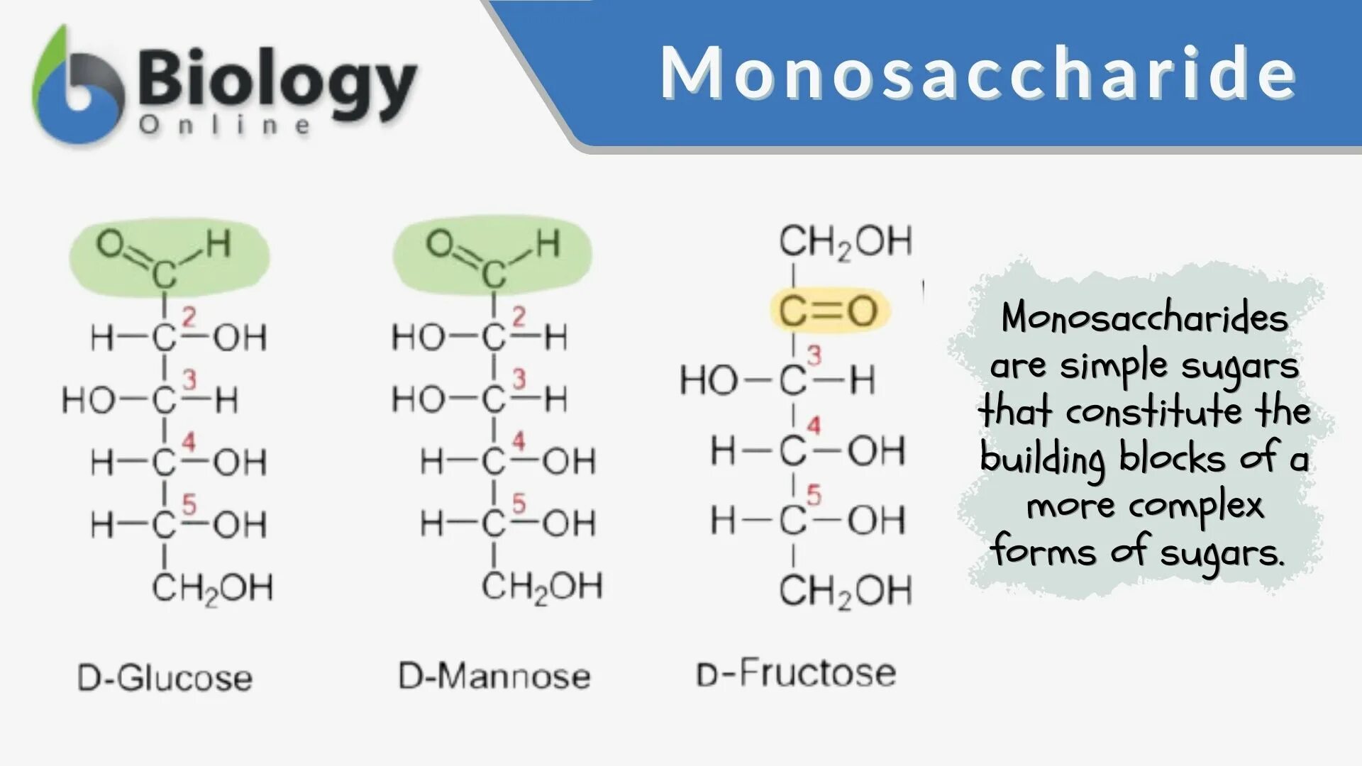 Monosaccharide. Седогептулоза. Monosaccharide Erklarung. Characteristics of monosaccharides.