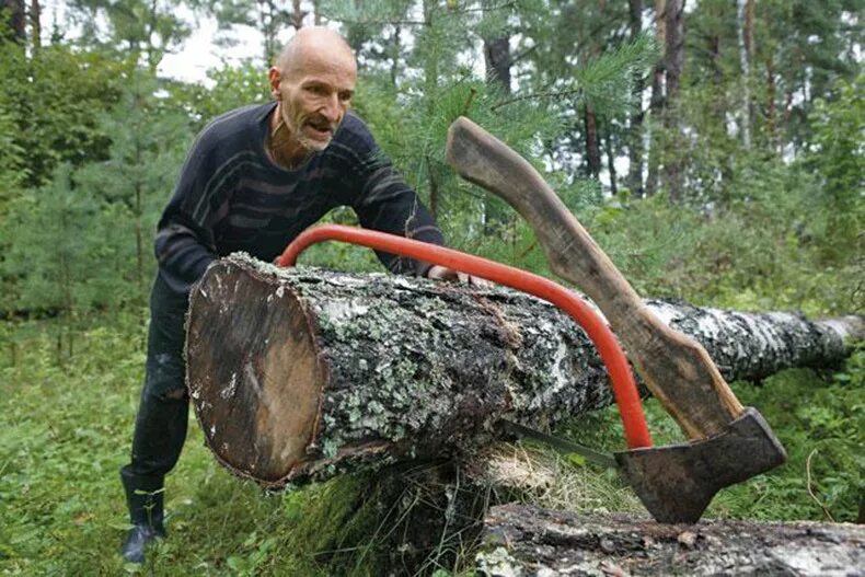 Ноги пилит. Дом Петра Мамонова в Верее. Ефаново Московская область дом Петра Мамонова.