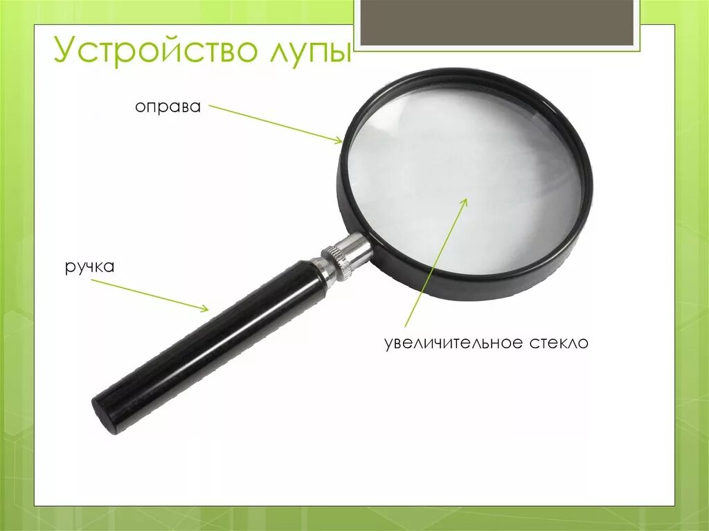 Рассмотрите с помощью лупы. Строение лупы. части лупы ручной. увеличительные приборы лупа. строение ручной лупы.