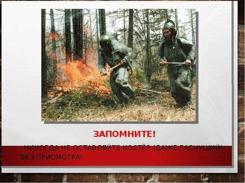 Профилактика лесных и торфяных. Профилактика лесных пожаров защита населения. лесные и торфяные пожары. профилактика лесных и торфяных пожаров. профилактика лесных пожаров обж.