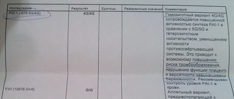 Ген pai 1. Анализ pai-1 количественный. Pai-1 -675 5g/4g расшифровка. Ген pai 1 5g/4g расшифровка. Pai1 4g/4g.