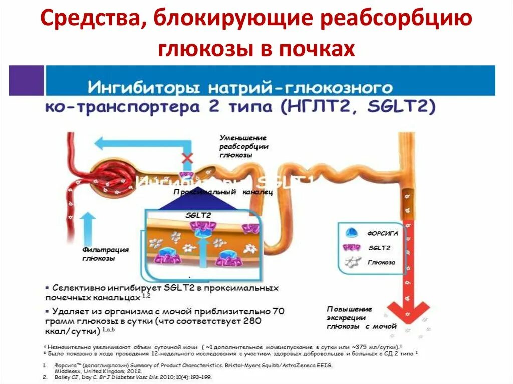 Ингибиторы натрий-глюкозного котранспортера препараты. Средства, ингибирующие реабсорбцию Глюкозы в почках. Блокаторы реабсорбции Глюкозы в почках препараты. Средства, блокирующие реабсорбцию Глюкозы в почках. Ингибиторы глюкозного котранспортера