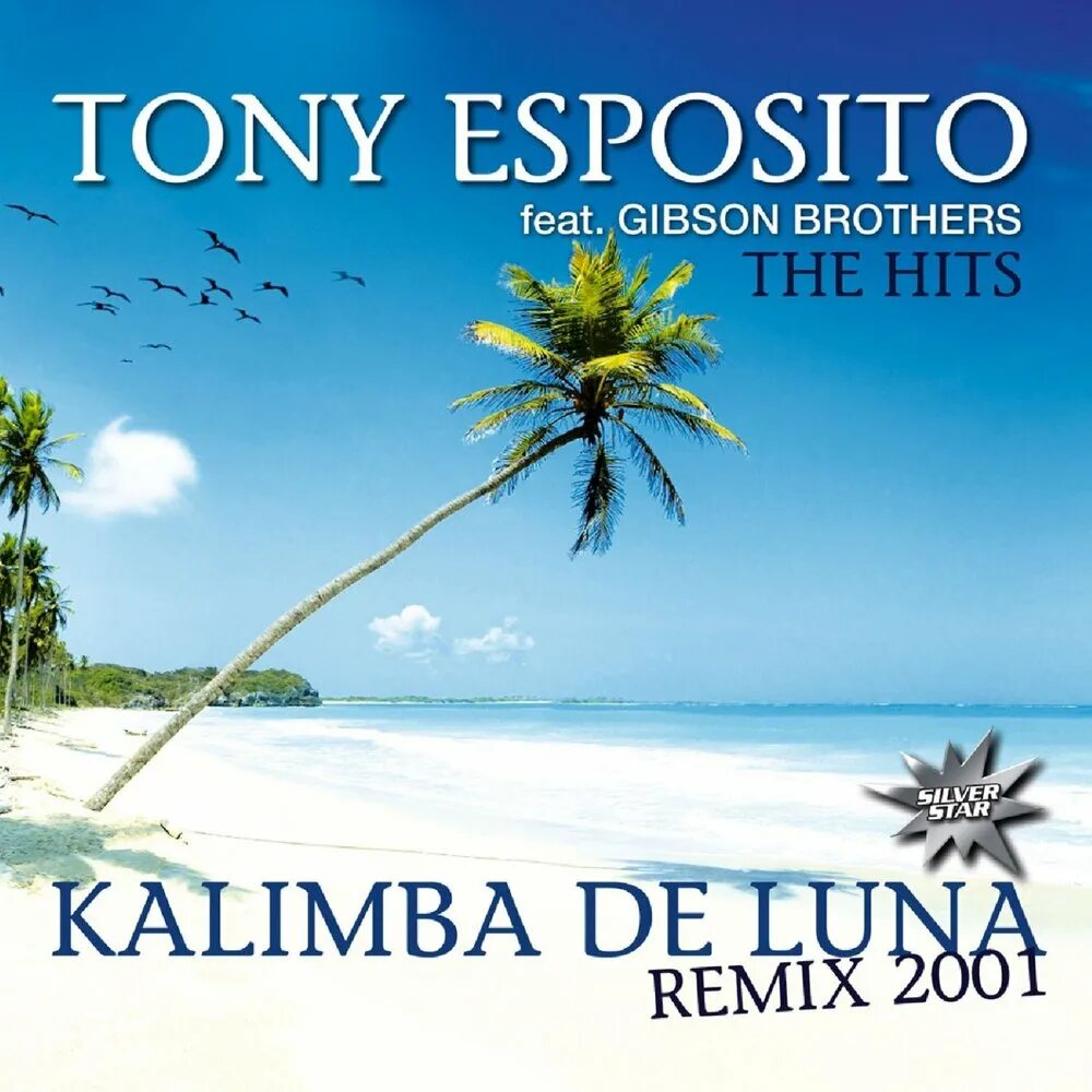 Эспозито де луна. Тони Эспозито калимба. Tony Esposito Kalimba de Luna. Tony Esposito album 2000. Kalimba de Luna. Tony Esposito albums.