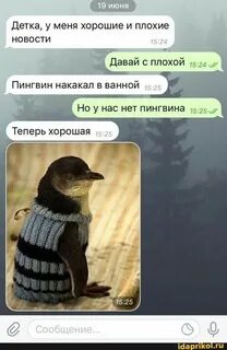 Приколы присланное