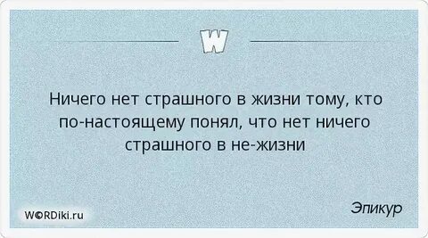 Фраза вы ничего не понимаете