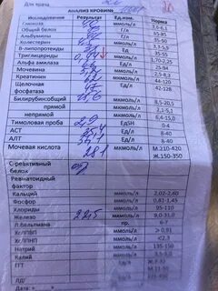 Почему плохо после анализов