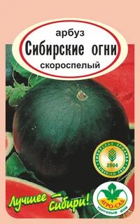 Арбуз сибирский