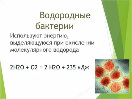 Окисление бактерий