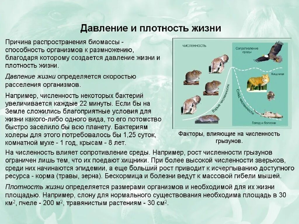 В биосфере биомасса животных во много. Биомасса это в биологии. Биомасса животных. Давление в жизни. Биомасса биосферы.