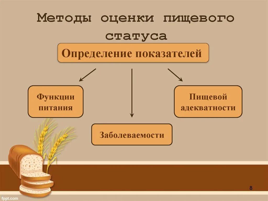 Статус пищевых продуктов. Оценка пищевого статуса. Метод оценки пищевого статуса. Показатели и методы оценки пищевого статуса. Пищевой статус методология оценки пищевого статуса.