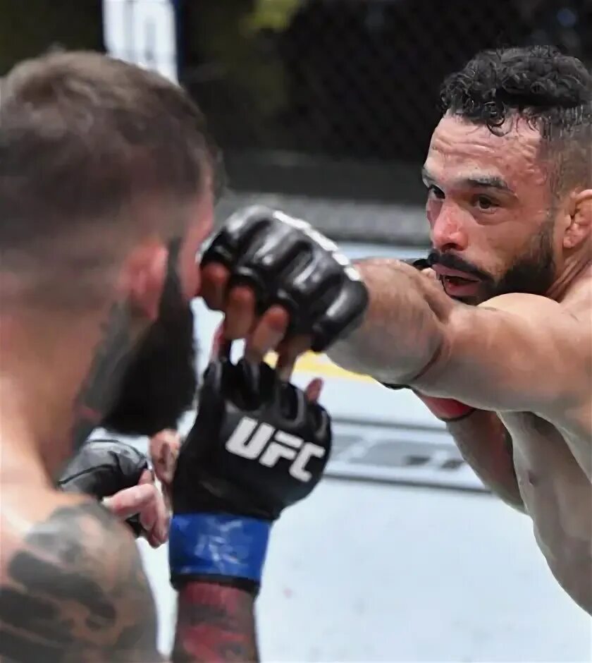 Роб битва. Роб битва. Роб битва. Роб фонт юфс. Роб битва.