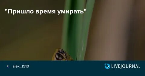 Когда придет время умирать