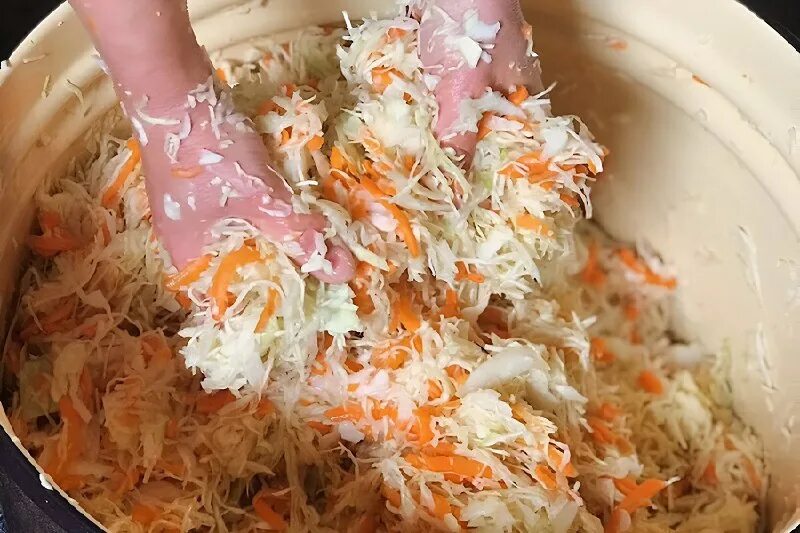 сколько морковки для квашения капусты. квашеная капуста пропорции. квашеная капуста морковка лук. сколько морковки для квашения капусты. сколько морковки для квашения капусты.