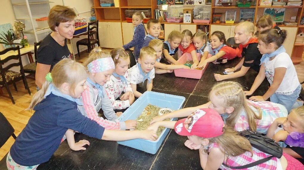 Центр дополнительного образования детей и молодежи минск. Центр дополнительного образования детей и молодежи минск. Центр дополнительного образования росток. Центр дополнительного образования детей и молодежи минск. Центр дополнительного образования детей и молодежи минск.