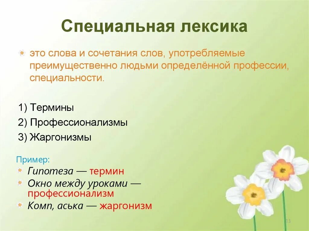 Как называются специальные слова. Специальная лексика. Специальная лексика примеры. Специальная лексика термины. Специальная лексика термины и профессионализмы.