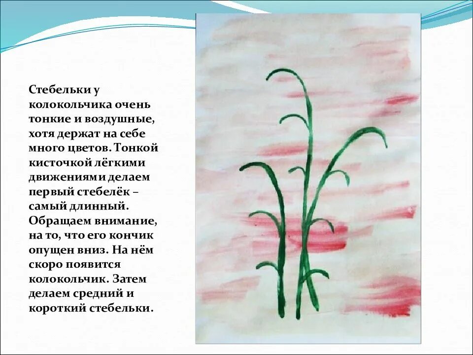 Стебелек цветка. Длинный тонкий стебелек. Как называется дополнительные стебельки. Стебелек. Стебелек разбор.