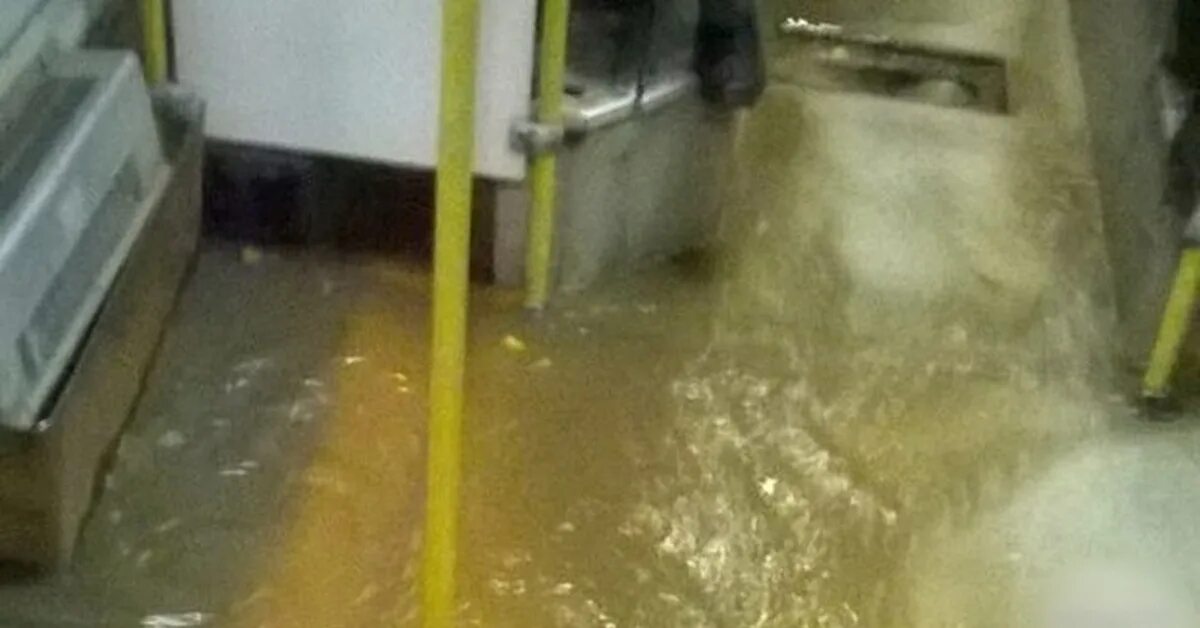 Потоп в квартире. Легкие залило водой. Затоп квартиры. Залить водой. Легкие залило водой.
