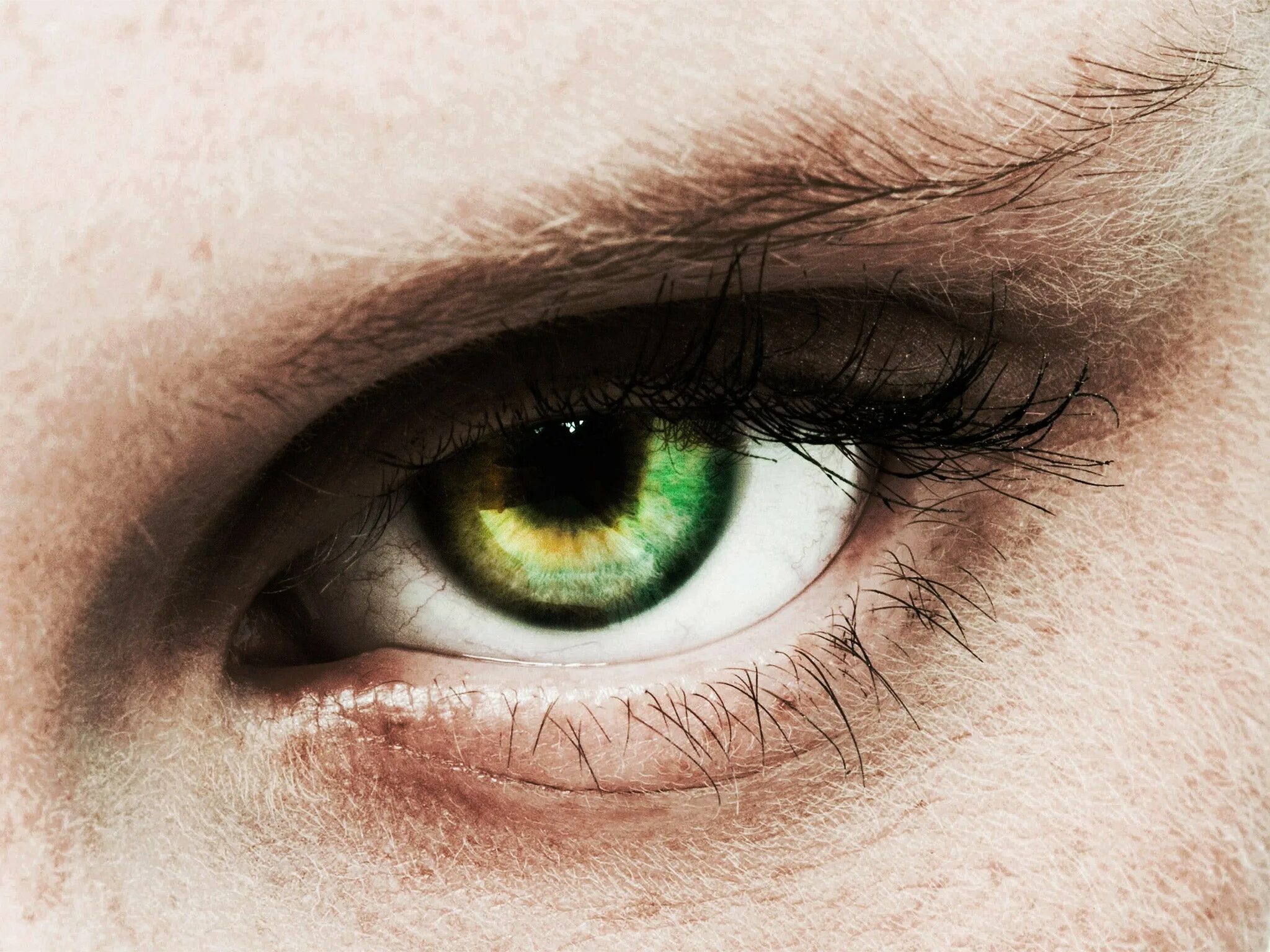 He got green eyes. Зеленый цвет глаз. Светло зеленый цвет глаз. Зеленый цвет глаз редкий.