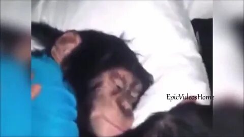 Про ержана