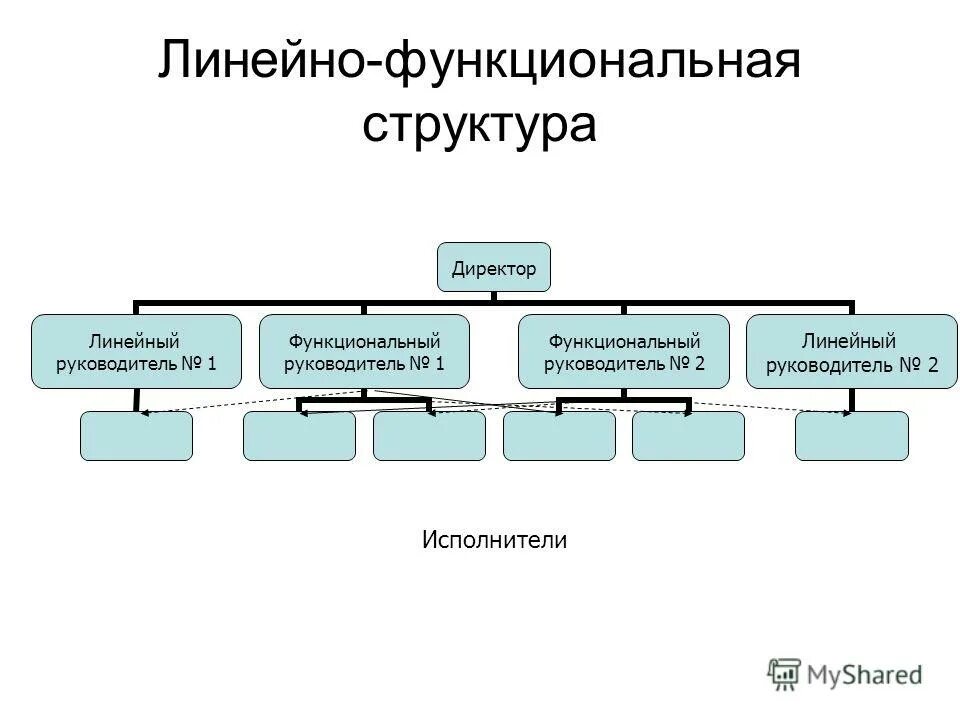 Линейные и функциональные руководители