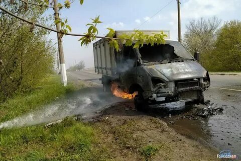 Стрелял в газель