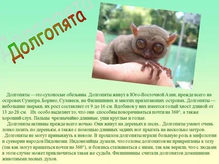 Рассказ о необыкновенном