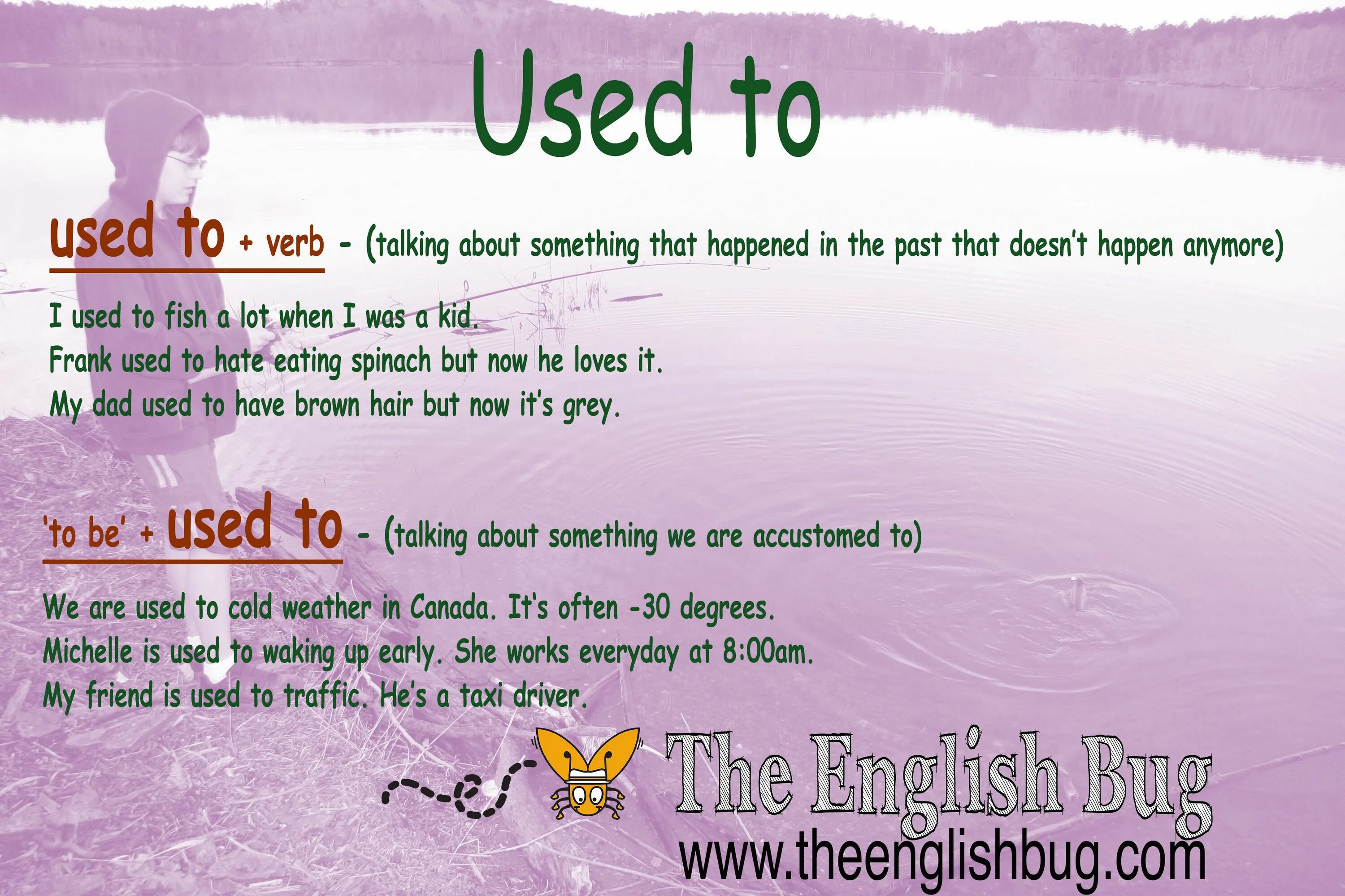 To be home to something. Used to do и to be used to doing разница. Be get used to правило. Предложения с to be used to doing. Use used to правило.