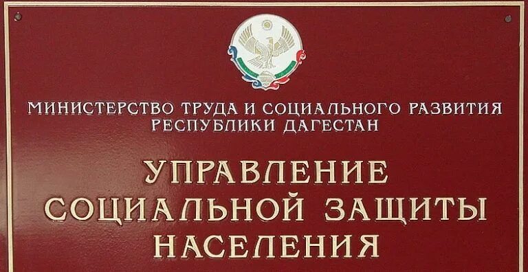 Министерство труда и социального развития Республики Дагестан. Министерство труда и социальной защиты г Калуга. УСЗН РД. Тула Министерство труда и соцзащиты. Министерство социальной защиты республики марий эл