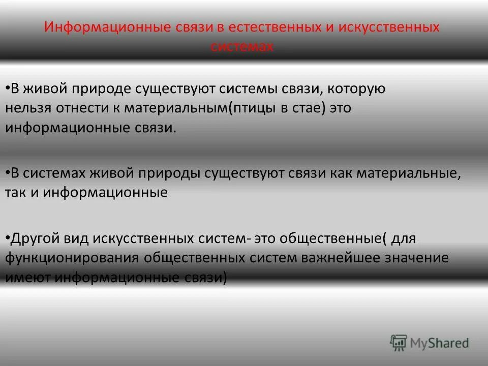 Номер информационной связи. Номер информационной связи
