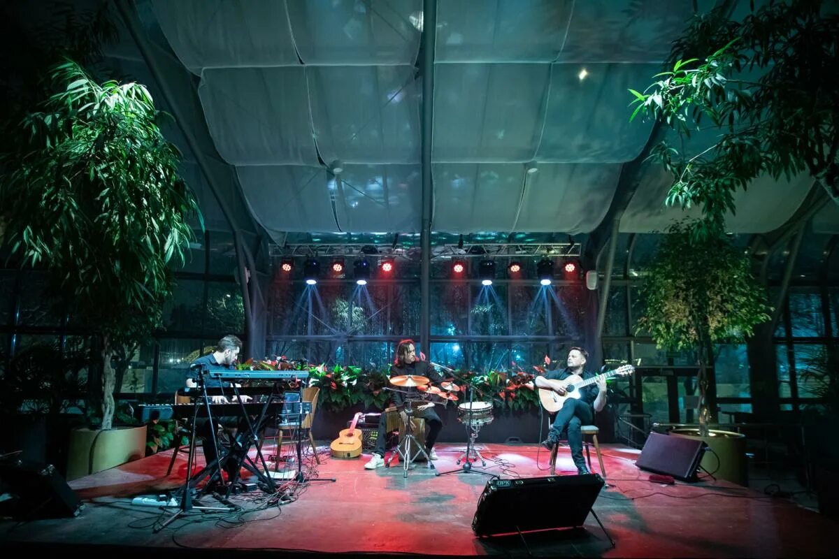 павильон 14 оранжерея. павильон 14 оранжерея. вднх павильон 14 оранжерея. вднх павильон 14 оранжерея концерт. оранжерея вднх амфитеатр.