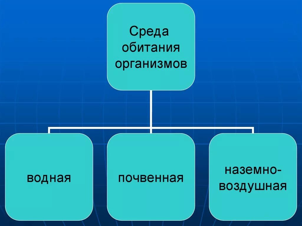 Какая бывает среда обитания биология 5 класс. Среда обитания. среды обитания организмов. три среды обитания. три среды обитания организмов.