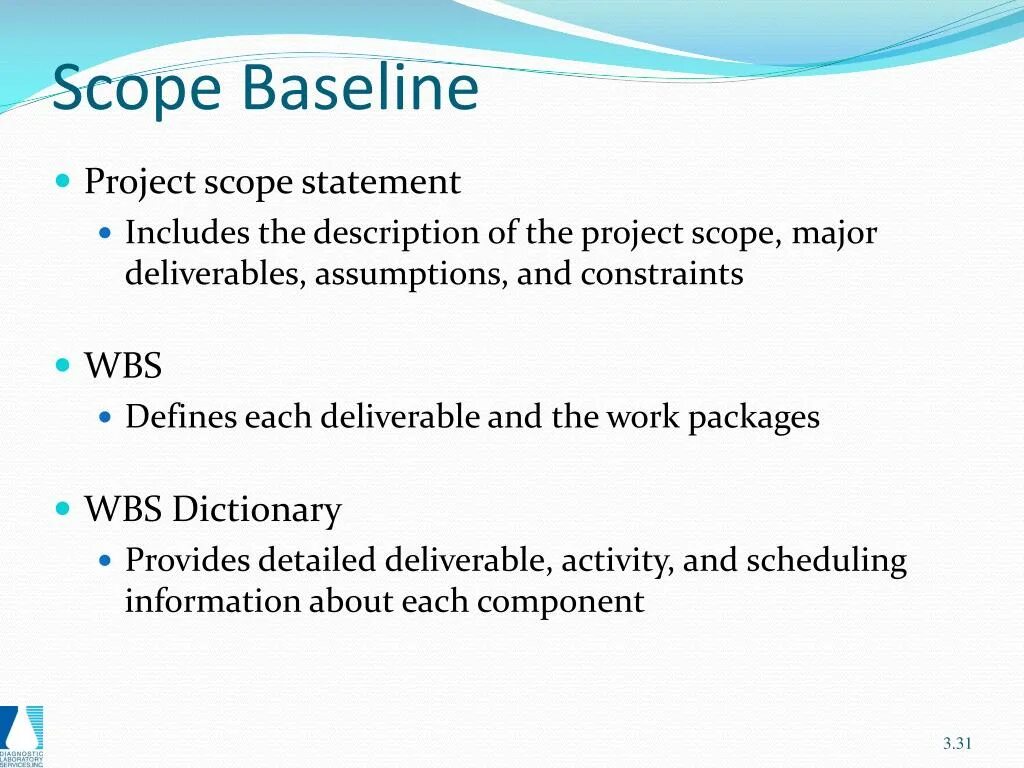 Including statement. Scope проекта. Project scope. Assumptions.