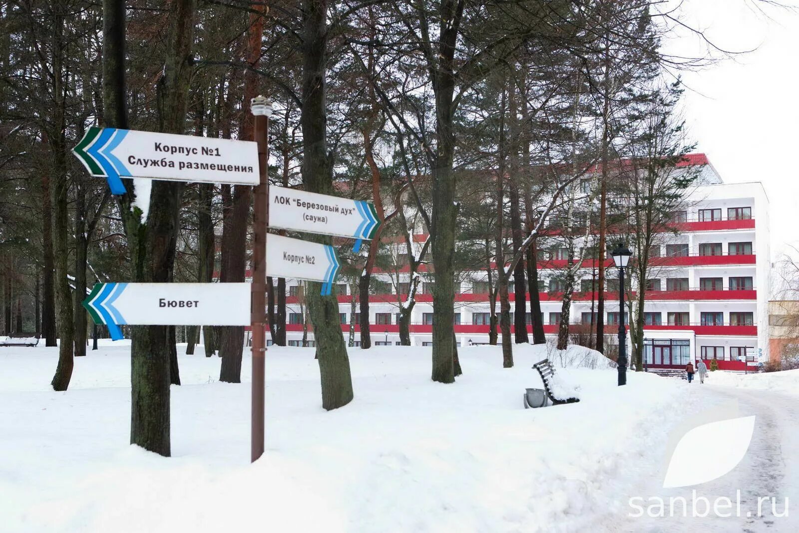 Санаторий приозерный нарочь. Санаторий криница в ждановичах. Приозерный песчаная ул. Ружа хутор беларусь санаторий. Санатории беловежская пуща белоруссия.