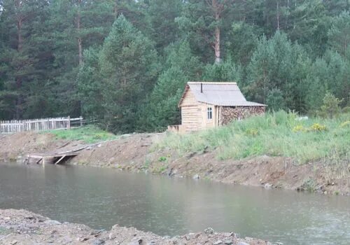 Погода в бурангулово. Ямиля кумушкулова. Погода в бурангулово. Нажметдин хасанов кураист. Ямиля кумушкулова.