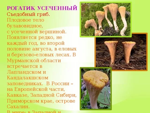 Редко появляется