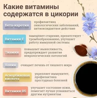 Вред цикория для организма здоровья человека