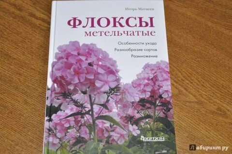 Книга флоксы