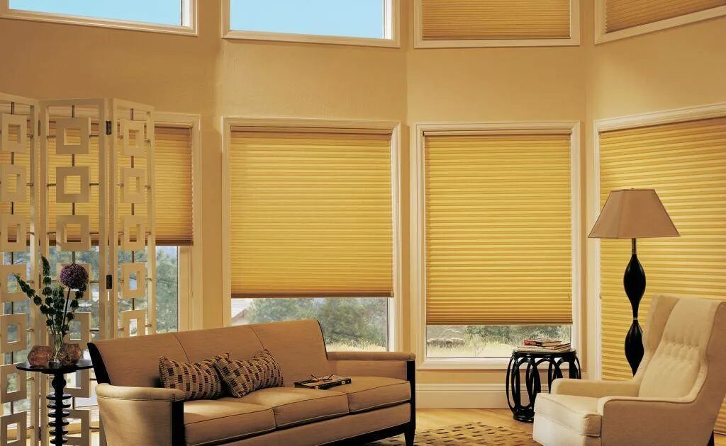 Шторы на окна от солнца рулонные. Плиссе Hunter Douglas. Рулонные шторы Hunter Douglas RB 500. Hunter Douglas жалюзи плиссе. Тканевые шторы на окна.