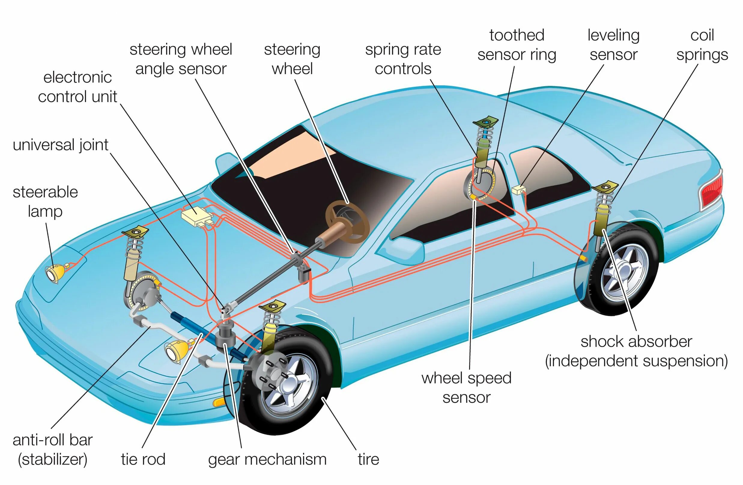 Where is the car. Components of the automobile. car suspension diagram. car structure. vehicle parts.