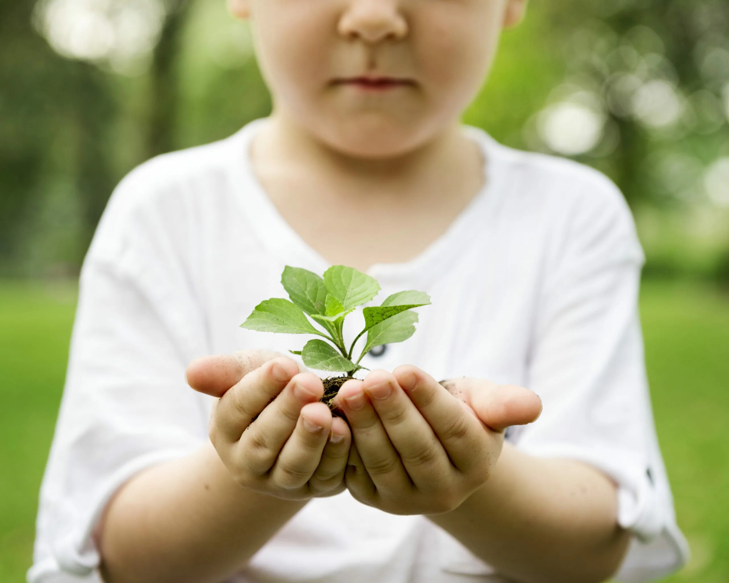 Экологическое воспитание. Дети и природа. Детям об экологии. Забота о природе. Ecology life