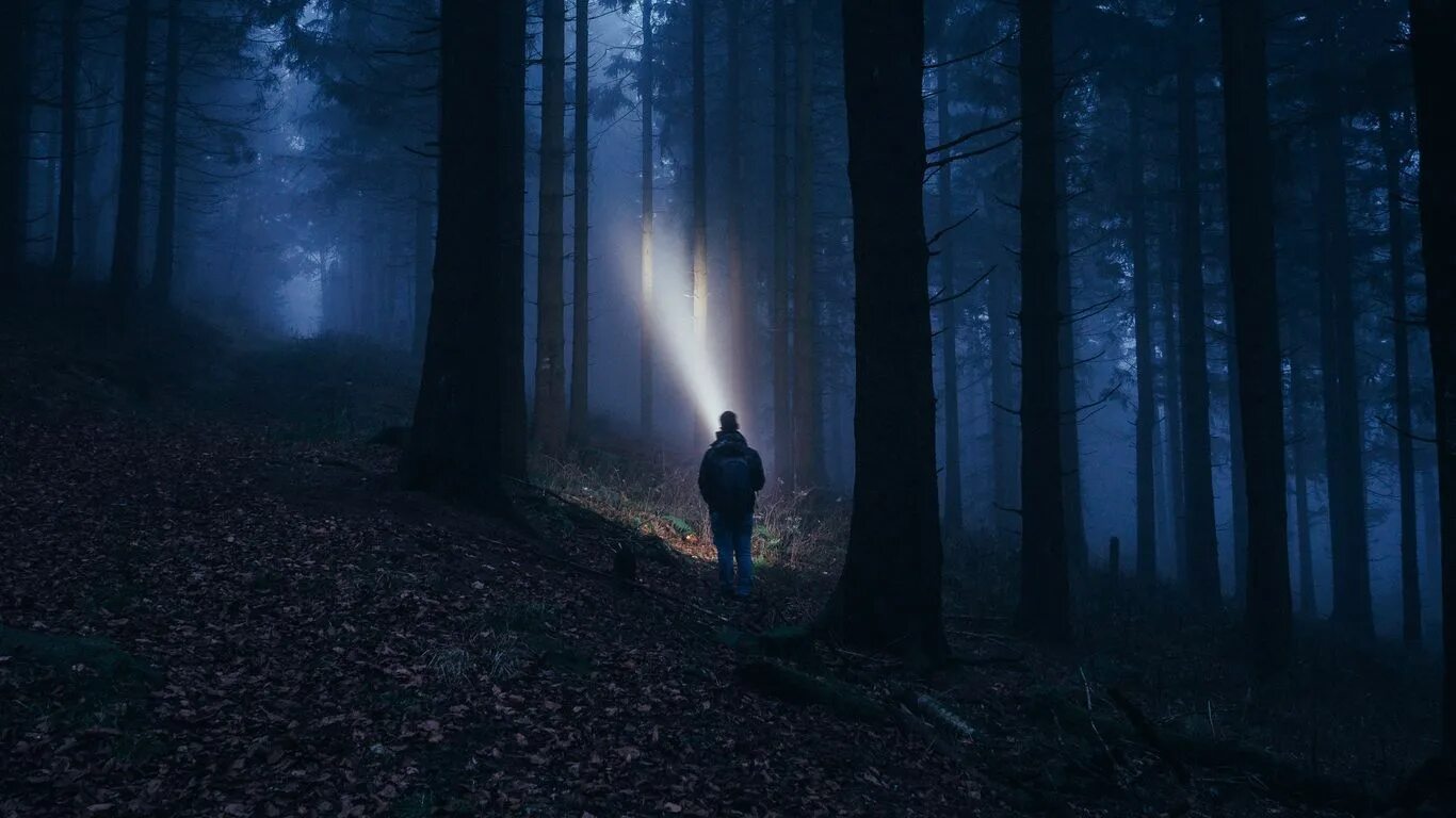 What is dark but made by light