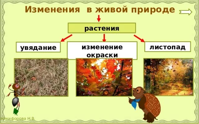 Живая природа осенью 2 класс окружающий