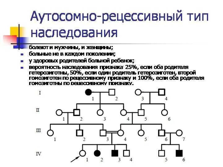 Для аутосомно-рецессивного наследования характерно. Рецессивный Тип наследования. Аутосомно-рецессивный Тип наследования заболевания. Характеристика аутосомно-рецессивного типа наследования. Отец имеет короткие ресницы рецессивный аутосомный