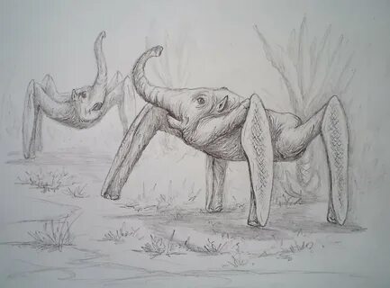 Реальный рисунок карандашом