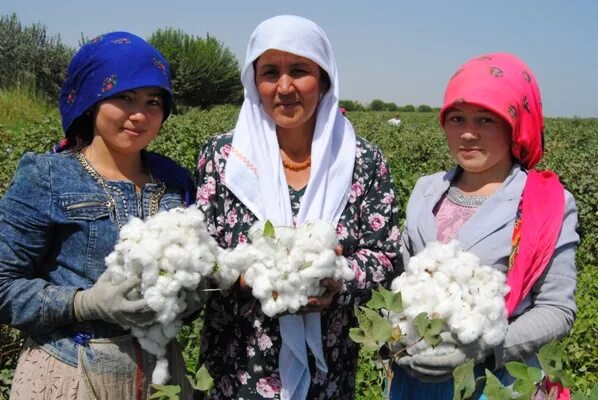 Населения таджикистан город яван 2022. Маликаи навруз. Колхозабадский район. Колхозабад таджикистан. Курган тюбе бохтарский район.