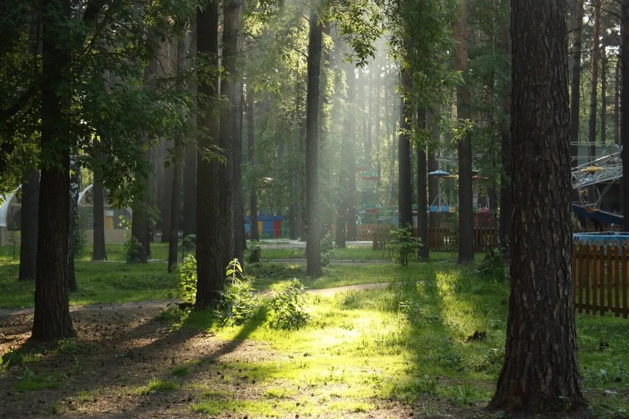 Сосновый Бор (парк, Новосибирск). ПКИО Сосновый Бор. ПКИО Сосновый Бор Калининский район Новосибирск. Сосновый Бор парк культуры и отдыха. Сосновый бор 1а