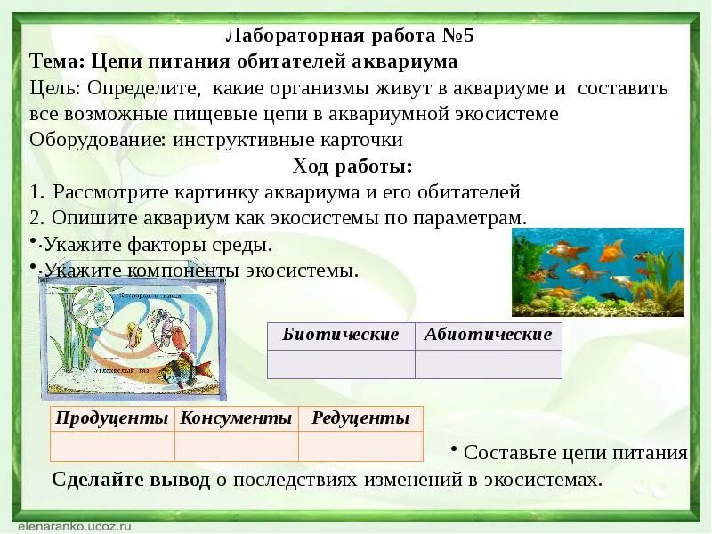 Пищевые цепи в аквариуме примеры. Какие организмы обитают в аквариуме. Пищевая цепь аквариума схема. Пищевая цепь аквариума лабораторная работа.