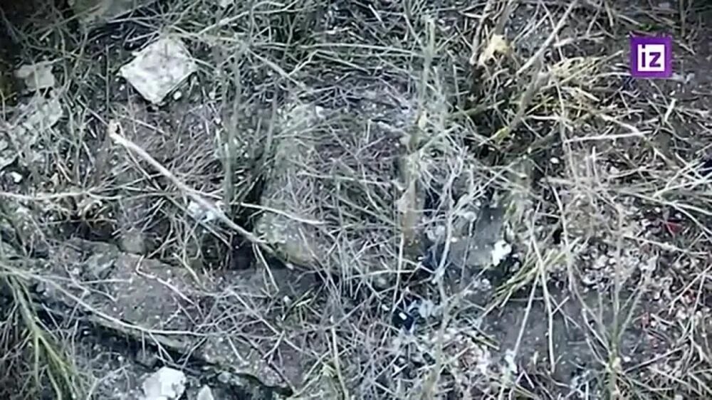 Белогоровка луганская область последние новости. Белогоровка луганская область последние новости