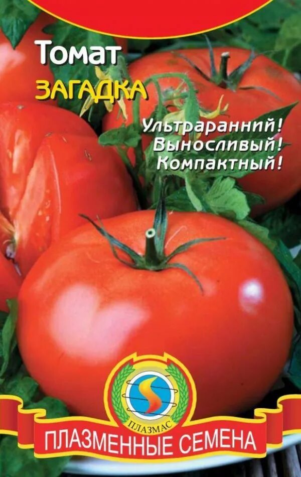 Томат сорт загадка урожайность. Томат загадка ультраранний. Томат загадка. Сорт помидор загадка. Сорт томата загадка.